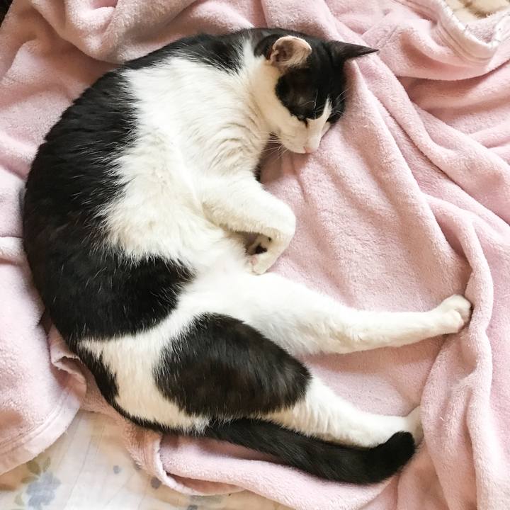 Abb5c753 fd60 469c 90c0 c6629b1759ac