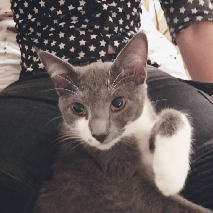 Abb6f8dc bd54 4f11 81d0 1b4aaf92d7de