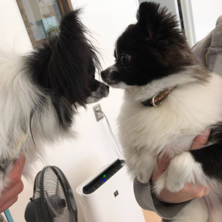 Abb7dc45 15f7 4bec a66b c079d36d02fd