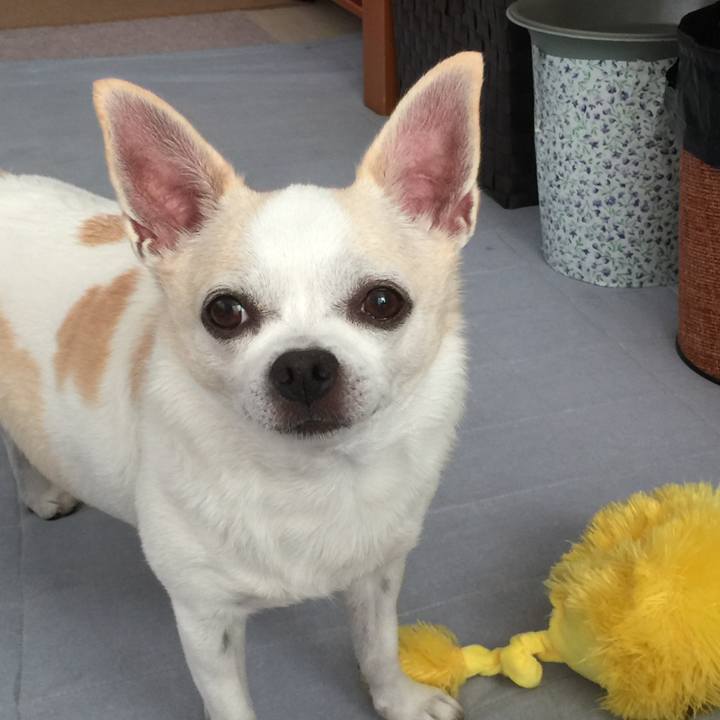 Abb802a5 eead 41bc 951f 86f554e19925