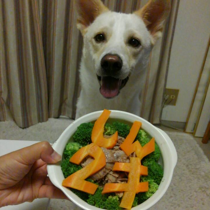 Abb8157a 4aeb 4160 a5ed 22dbfa0881b4