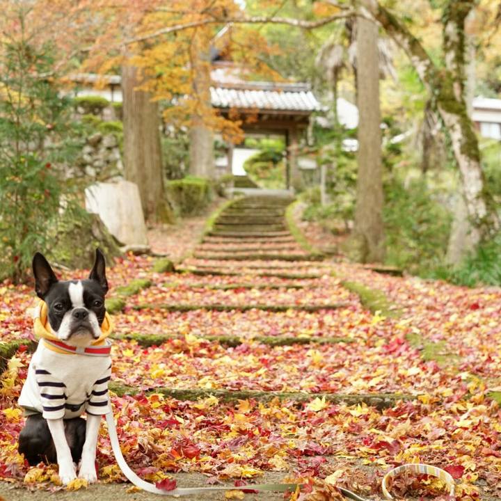 Abb817b6 7944 4aa7 9e43 6701a9239c8a