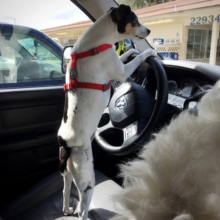 Abb84b4e e5d8 44dc b83a 7b220158b1d8