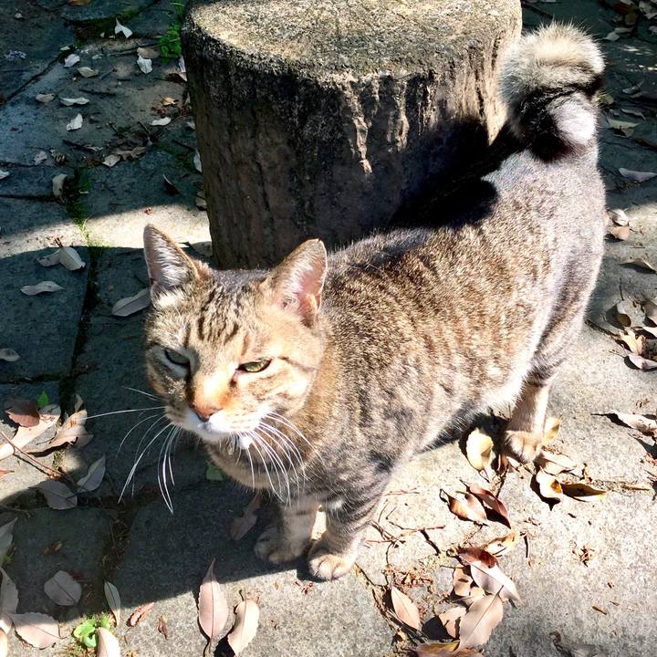 Abb8ea71 494d 40d6 9513 9dd6d53b4a51