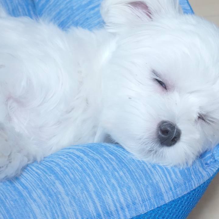 Abb9185a 56c1 46d6 9f64 8539de731cc8