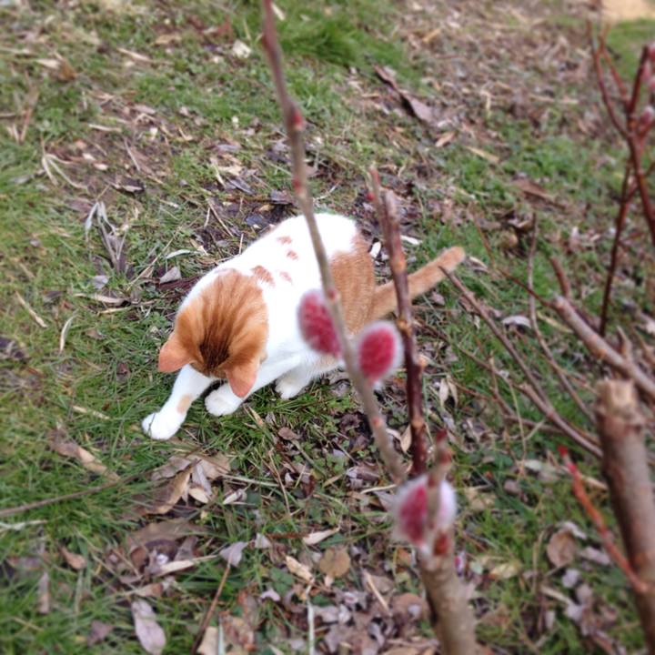 Abb9ec0e 1bc4 4397 8fca 16ba29c82a89