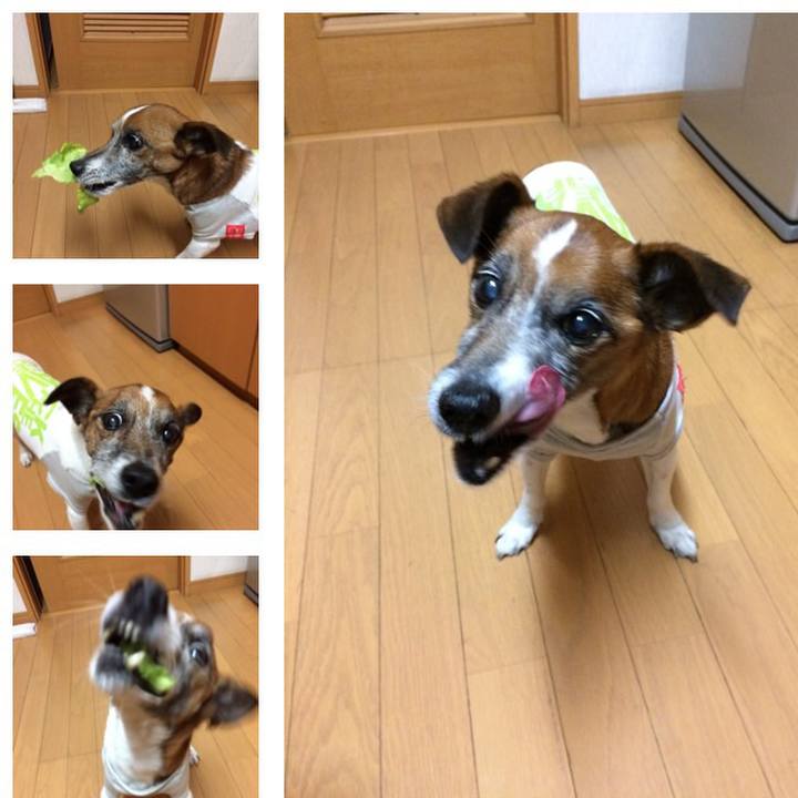 Abbace5e 6a1d 4444 bad0 bfed75e5e44d