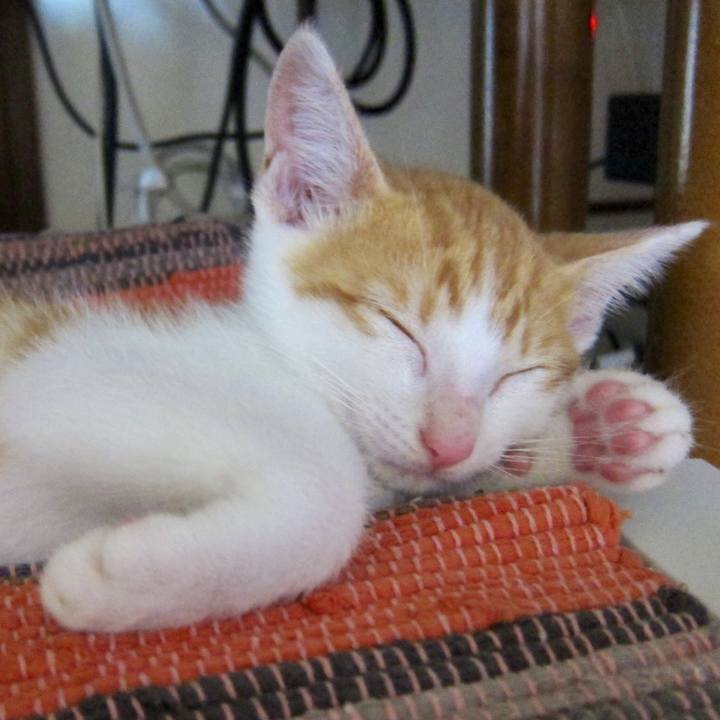 Abbb0280 1d48 45e0 85d7 02e5d91e12a0