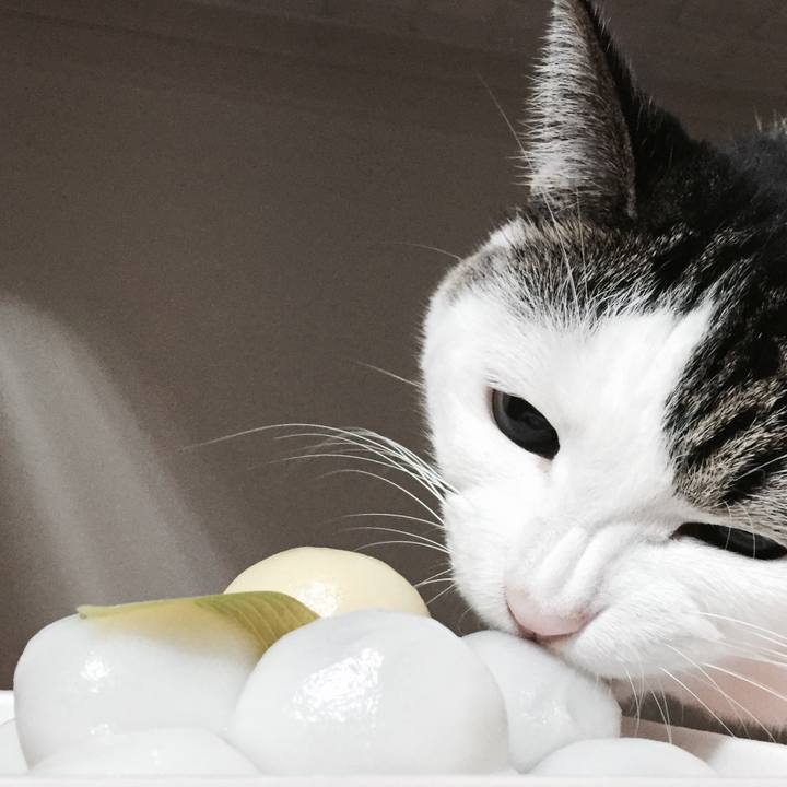 Abbb052e 5e36 48bd 9115 7cf56db50022