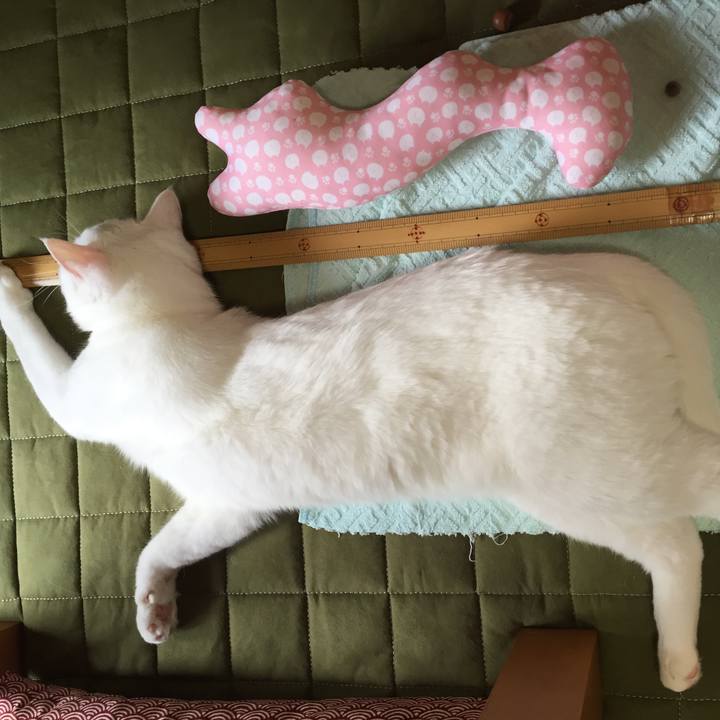 Abbc4abc 1337 49f8 8a2e 9a5105b85fcc