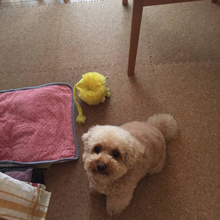 Abbd5648 9894 4cde bda8 180f7c87a68b