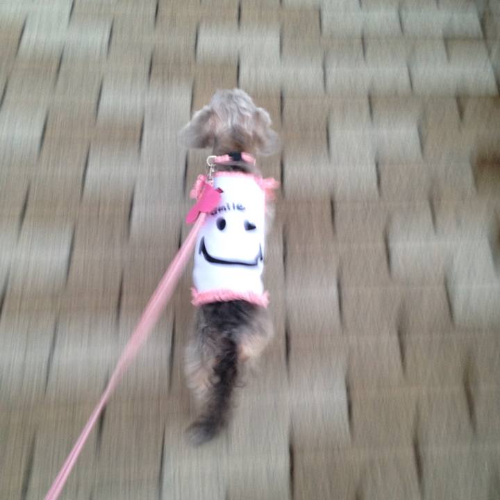 Abbdaf8f 5550 46bd b609 9c24d783b19a