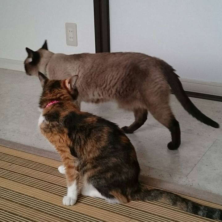 Abbdc793 47fe 4dc4 9756 1085eeff93db