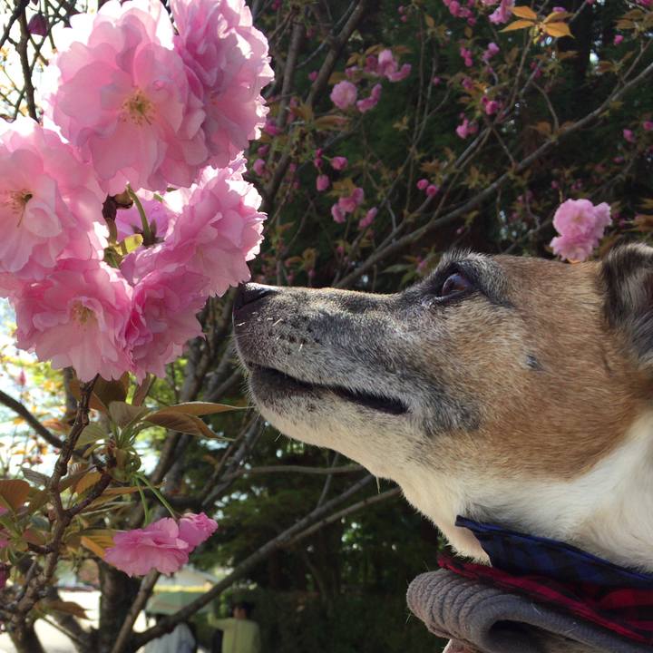 Abbe33d7 138a 482e ad5e 733d989bb936