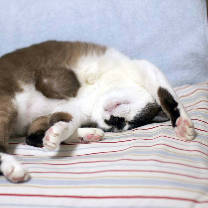 Abbe34e8 7bf2 4efb b586 60c4dce6cb01