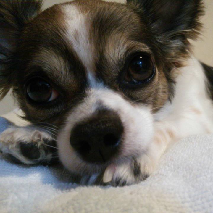 Abbe3aa2 ffe4 4651 8266 9e0dbf0c3c3c