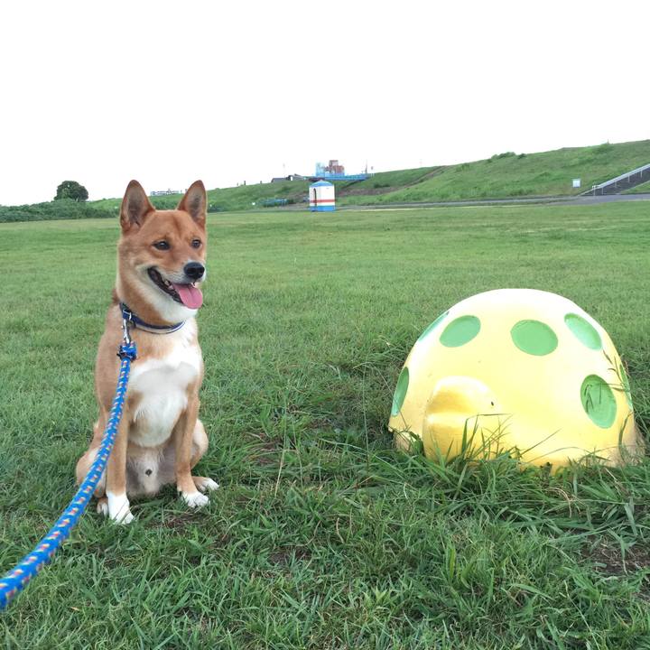 Abbe9b62 67a1 4863 9c71 0b8a8c302ca8