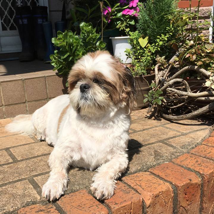 Abbefd16 46e6 4cd5 a6e0 c6d4a2f283ee