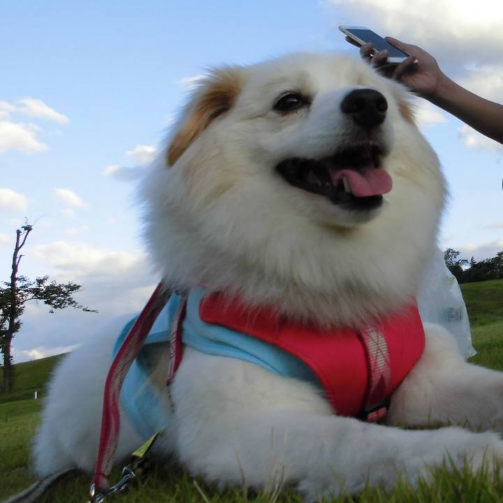 Abbf3f41 a043 490c b98e 1ca8d6e44a76