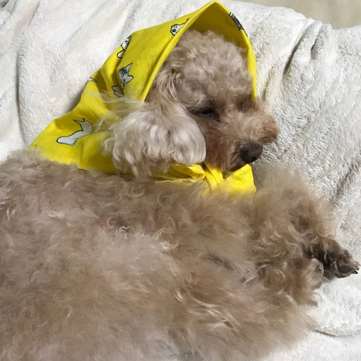 Abbf4b92 a80e 4523 90a9 87b0177c0360