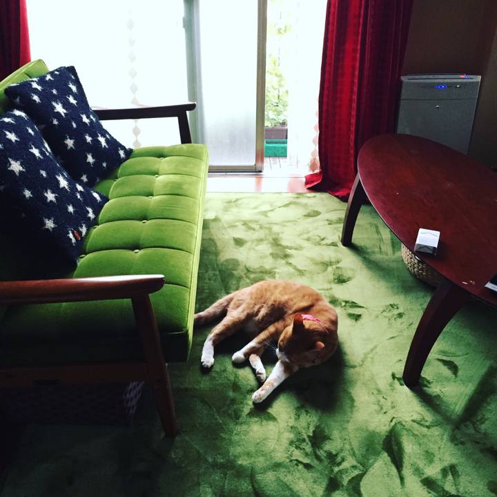 Abbf5c47 fdf7 462e 9e8d 38dfc270a9e2