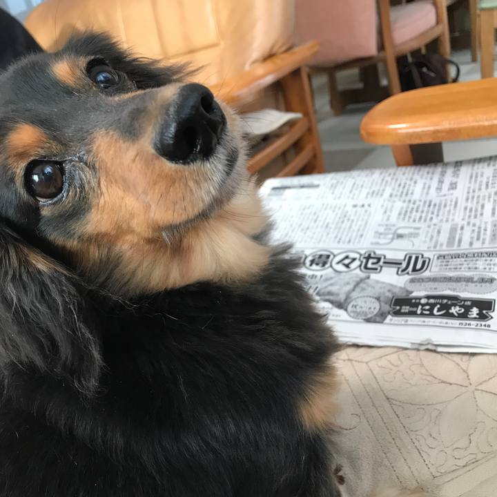 Abbf600a 2d4c 45ba 9865 82ce7c254556