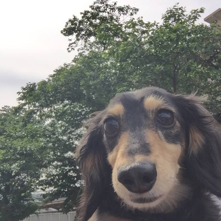 Abbfc669 c05a 4b4b 9558 f1148503f4b9