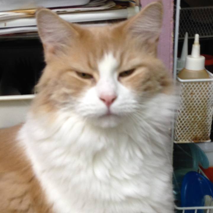 Abc078d8 f69c 4a72 ba5c b95d8e66d2e6