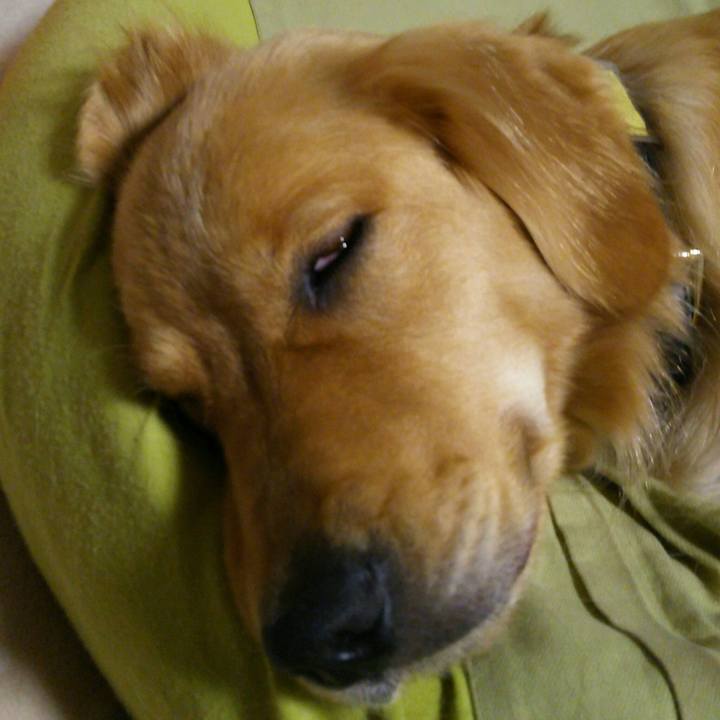 Abc0a427 9227 4dc5 8f65 27bf1f851ad7