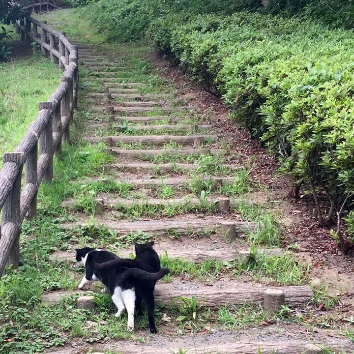 Abc0ce5f cb63 45aa a6d4 74dcabe00341