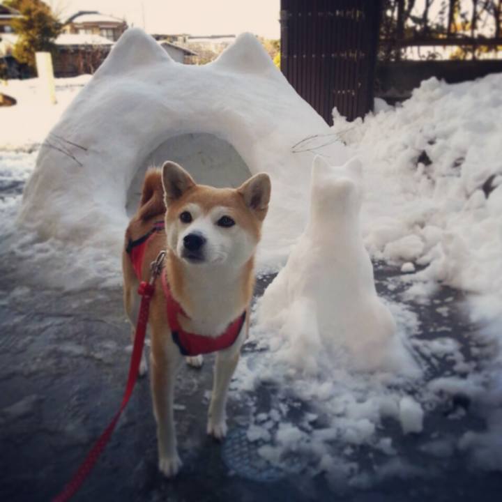 Abc129dc 4f01 4597 a43c ede9eadc752a