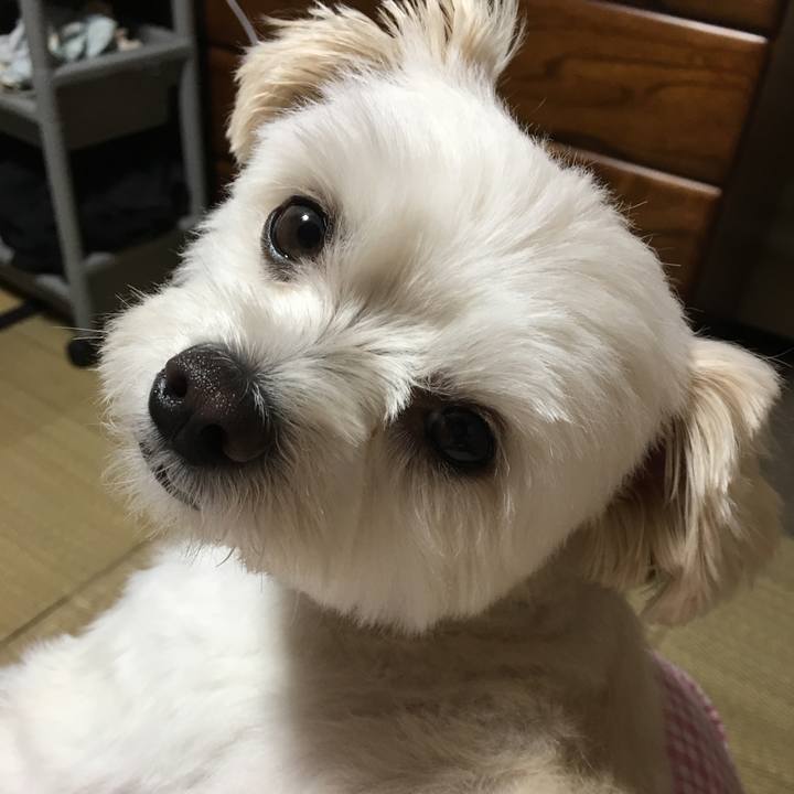 Abc27744 d299 4740 a7e0 6dedf764db89