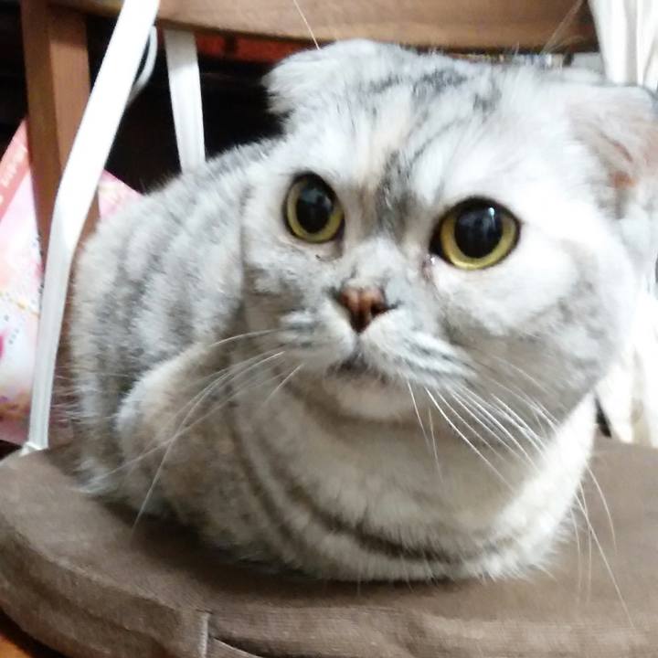 Abc40749 8f51 40c9 991f 6f33fc600a96