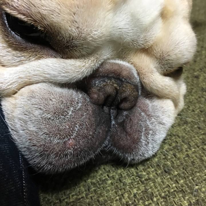 Abc41c36 a770 44a4 b6fa e7748d84b279