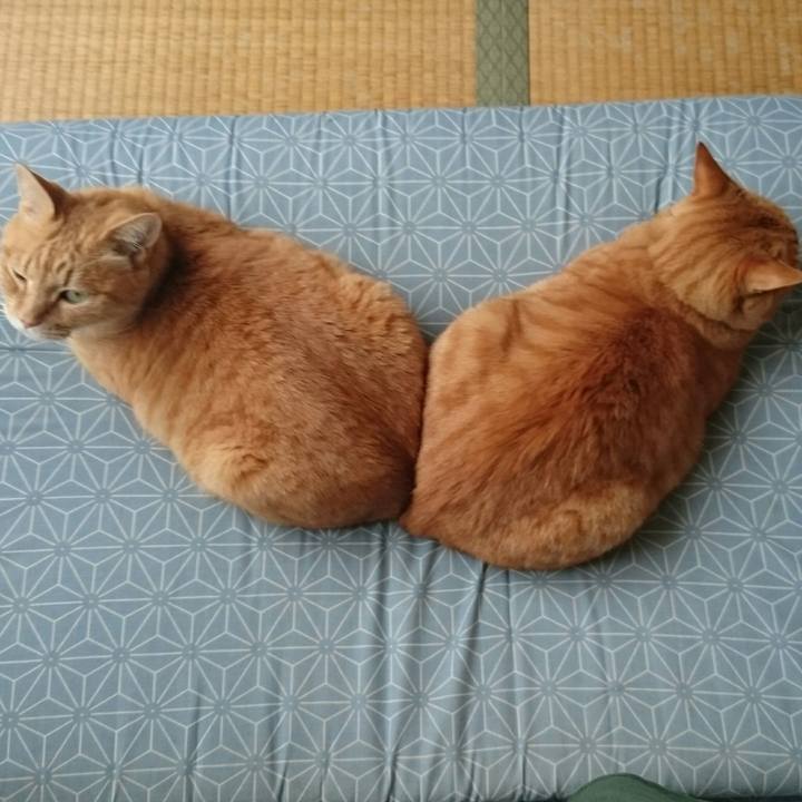 Abc4dbf7 cb85 4448 b4bc 5b699b60afb9