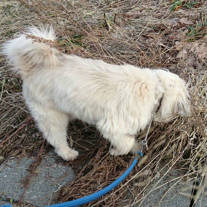 Abc54e2a f518 4ceb b073 00c0b20d7c5f