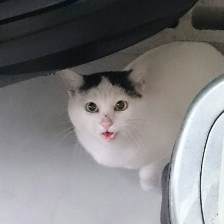 Abc675d5 4ded 43b7 89ae 250babb7fd51