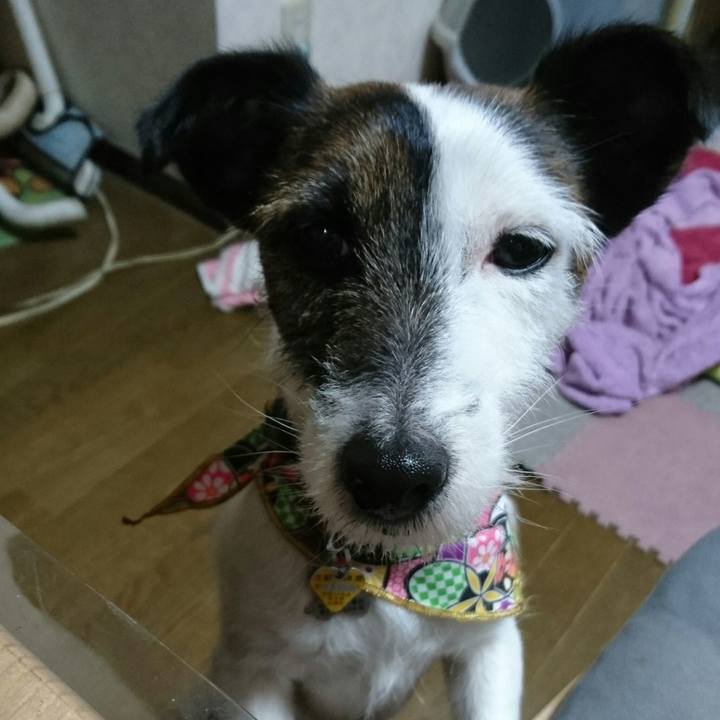 Abc6ad90 7f5d 4ac0 a8c7 2c4c1f8271e2