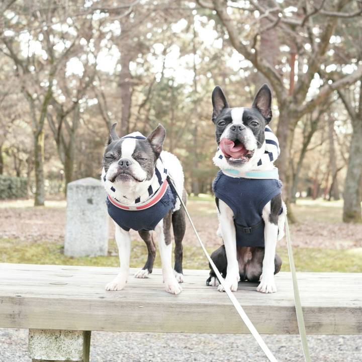 Abc6b81f 8c86 4194 91e9 c48fb15f82d3