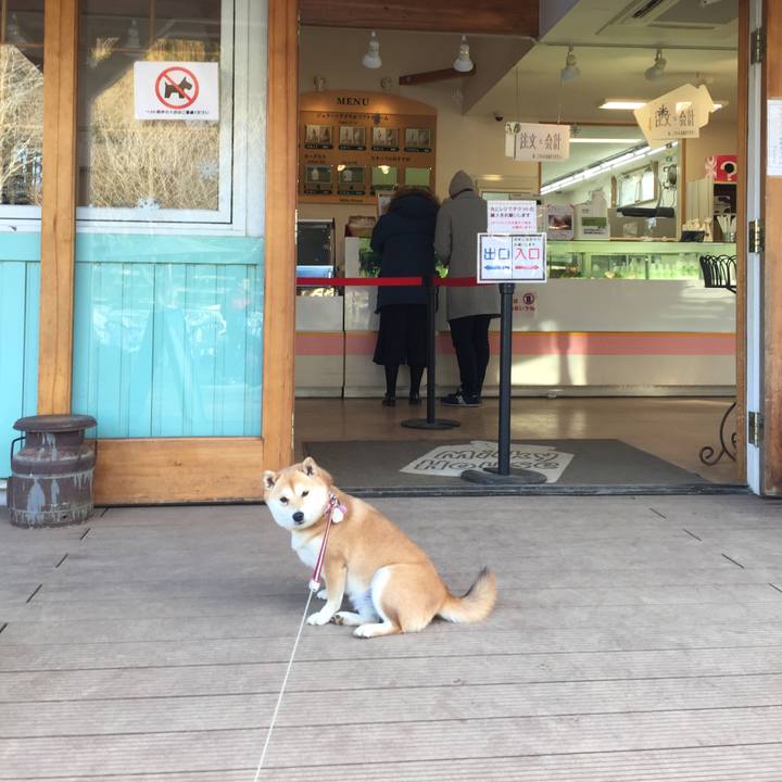 Abc7b4fc 8289 4967 8a39 c2047705674a