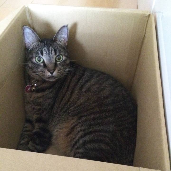 Abc7d8d6 3fae 4786 b247 552be3044b9d