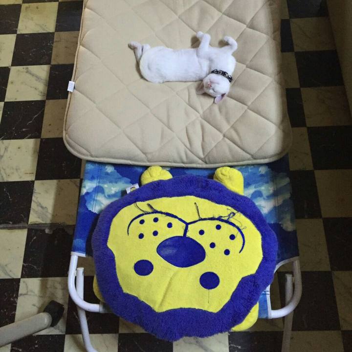 Abc82f70 2aab 420b b77a b04fde4ca0a3