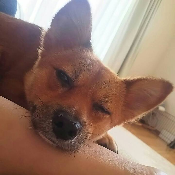 Abc841e7 39b2 4d7c a614 c2973bbff417