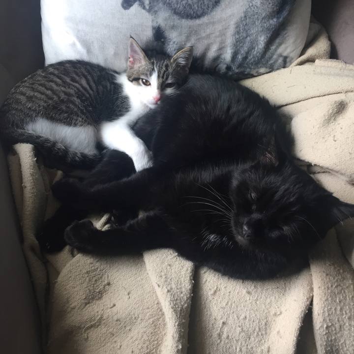 Abc8559d 5d67 421e 93e4 8c33d8a7db33