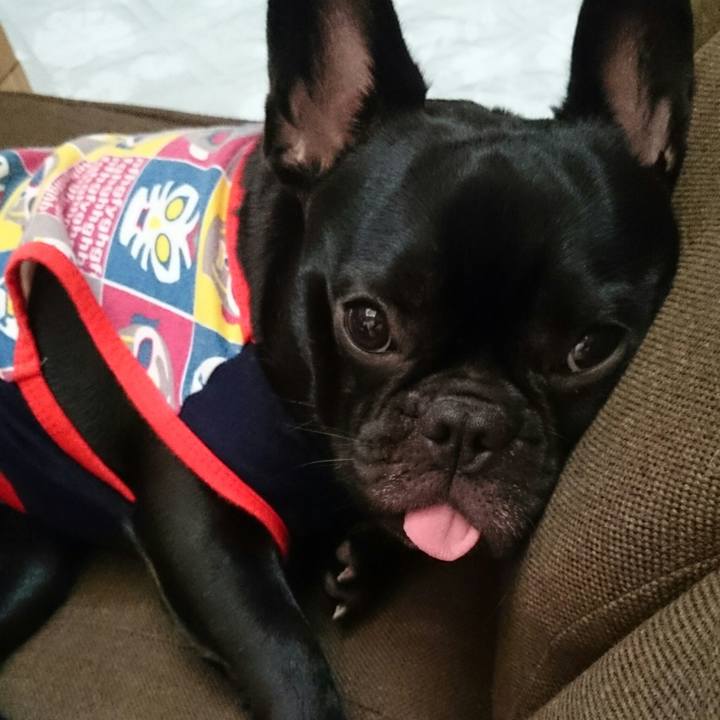 Abc8aacd cbf0 4b72 9bc0 05a5e18112c0