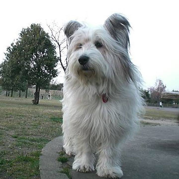 Abc8d397 c2dc 4dc9 b0b7 ce509dcdeac8