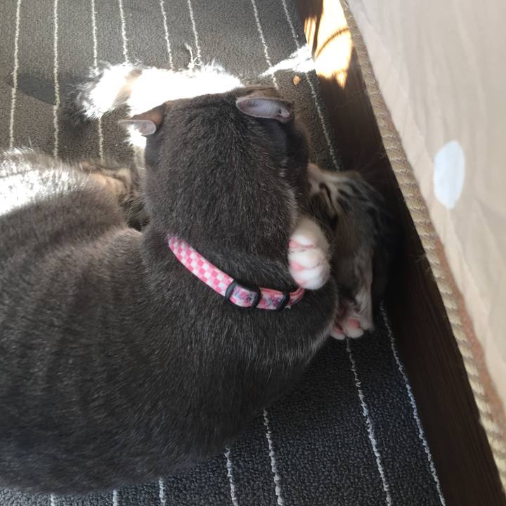 Abc901d8 53ab 41d9 9092 48eb41c34a49