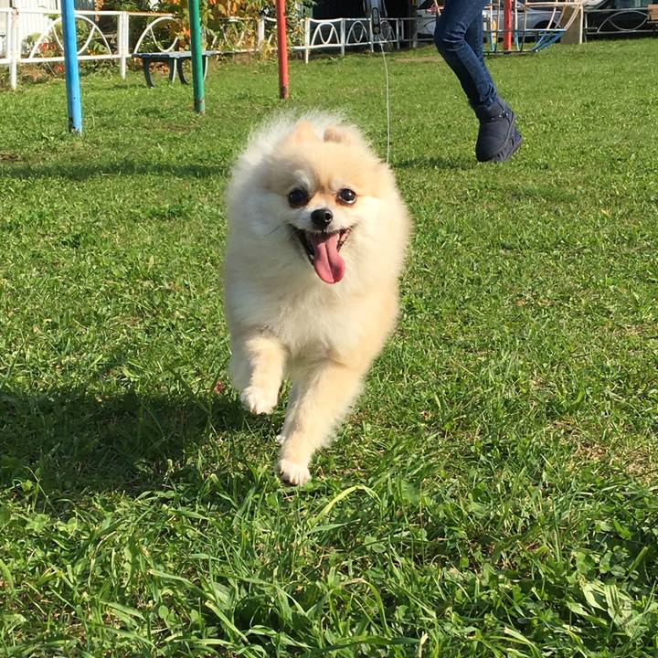 Abc98bf0 83bc 4abb ab65 0c7a4f09c6e7