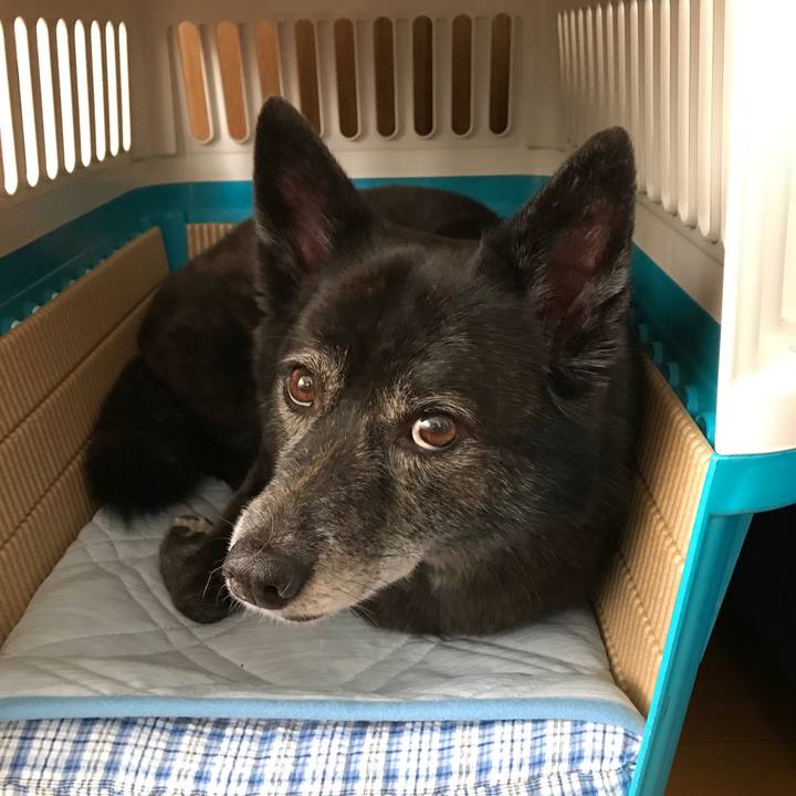 Abc9c0c8 2f06 4022 8733 61c3bdceeadf