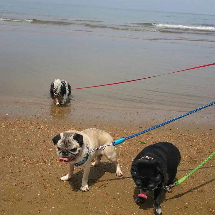 Abca9e29 921e 443e 97e6 8a7c69b3cf06